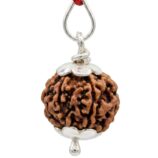 5 MUKHI RUDRAKSH IN 925 STERLING SILVER CAPPING WITH HALLMARK AND CERTIFIED BEAD