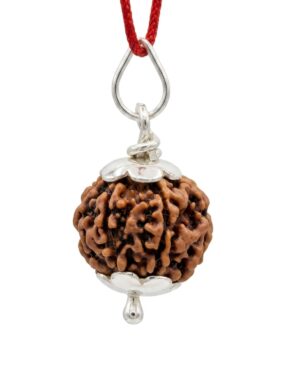 5 MUKHI RUDRAKSH IN 925 SERLING SILVER CAPPING WITH HALLMARK AND CERTIFIED BEAD– Divine Protection Pendant