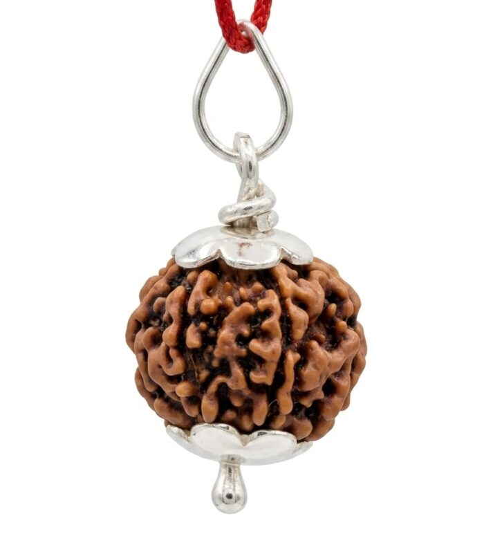 5 MUKHI RUDRAKSH IN 925 STERLING SILVER CAPPING WITH HALLMARK AND CERTIFIED BEAD 5 MUKHI RUDRAKSH IN 925 STERLING SILVER CAPPING WITH HALLMARK AND CERTIFIED BEAD