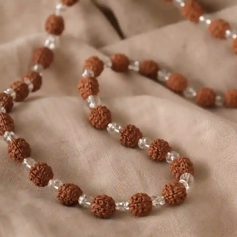 rudraksha_800x800 rudraksha_800x800