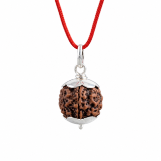 JAYEEVAGMI 7 MUKHI RUDRAKSH IN 925 STERLING SILVER CAPPING WITH HALLMARK AND CERTIFIED BEAD